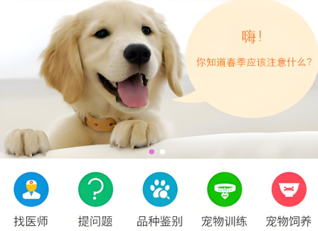 宠物app.png